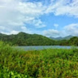 Meet your Posher, Lucy